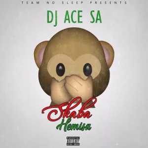 DJ ACE SA - Skaba Hemisa (Crazy Drums)