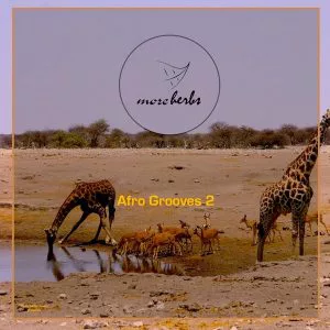 VA Afro Grooves 2