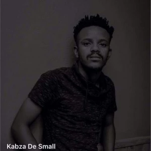 Dj Ganyani feat. Layla - Talk to Me (Kabza De Small Remix). latest house music, deep house tracks, house music download, club music, afro house music, afro deep house