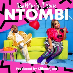 NaakMusiQ - Ntombi (feat. Bucie). South africa music, new south africa afro pop house music, mp3 download sa music