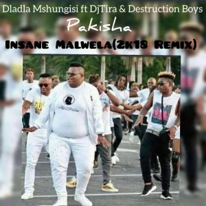 Dladla Mshunqisi, Dj Tira & Distruction Boyz - Pakisha (Insane Malwela 2k18 Remix)