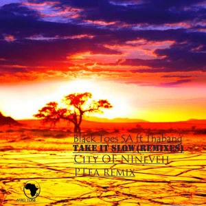 Black Toes SA - Take It slow (feat Thabang) (City Of Nineveh Remix)