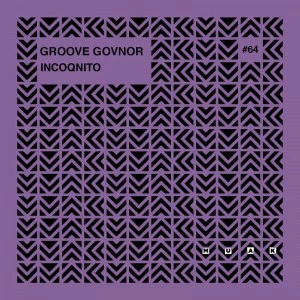 Groove Govnor - Incoqnito (Original Mix)