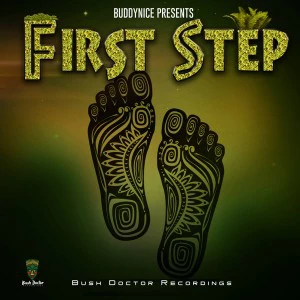 Buddynice - First Step