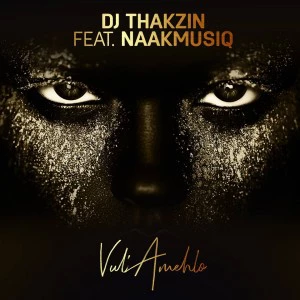 DJ Thakzin - Vul’Amehlo (feat. NaakMusiQ). new afro house 2018, new south african afro house music, download afro house songs, latest sa afro deep house music