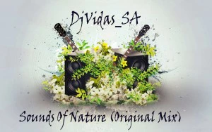 DjVidas SA - Sounds Of Nature (Original Mix)