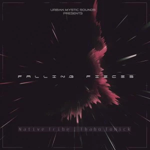Native Tribe & Thabo Tonick - Falling Pieces. new afro house music, afro tech house, download afro house 2018, south africa house music
