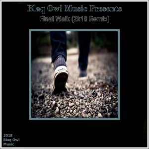 Blaq Owl - Final Walk (2K18 Remix)