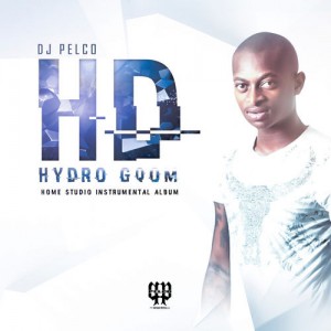 Dj Pelco - Hydro Gqom (Album) - Latest gqom music, gqom tracks, gqom music download, club music, afro house music, mp3 download gqom music, gqom music 2018, new gqom songs, south africa gqom music.