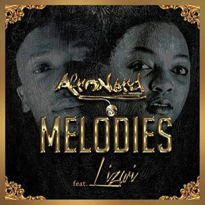 Afronerd - Melodies (feat. Lizwi) - afro tech house, afro house musica, afro beat, datafilehost house music, mzansi house music downloads, south african deep house, latest south african house, new house music 2018, best house music 2018, latest house music tracks
