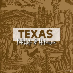 PutoNelo & NAKAMURA - Texas (Original Mix)