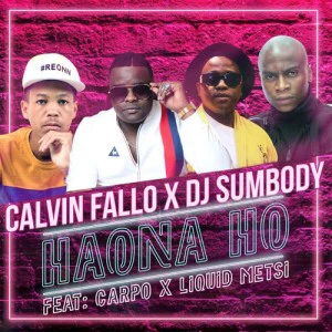 Calvin Fallo & DJ Sumbody - Haona Ho (feat. Liquid Metsi & Carpo). new house music 2018, best house music 2018, latest house music tracks, dance music, latest sa house music