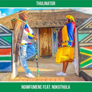 Thulinator feat. Nokuthula - Ngimfumene (Original Mix), latest house music datafilehost, deep house sounds, afro tech house, afro house musica, afro beat, datafilehost house music, mzansi house music downloads, south african deep house, latest south african house