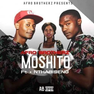 Afro Brotherz - Moshito (feat. Nthabiseng) - latest house music, deep house tracks, house music download, club music, afro house music, afro deep house, afro house songs 2018, best house music, african house music, afro tech, afro house datafilehost, latest sa house music