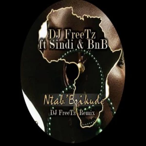 DJ Freetz feat. Sindi & BNB - Ntab’ Ezikude (DJ FreeTz Remix), new south africa house music, sa afro house 2018