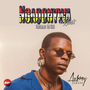 Aubrey Qwana feat. DJ Tira - Ngaqonywa (Remix), afro beat, afro house 2018 download south african