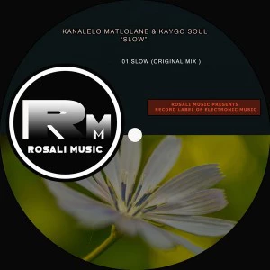 Kananelo Matlolane & Kaygo Soul - Slow (Original Mix)