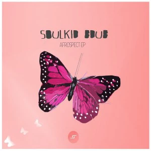 SoulKiD Bdub - Afrospect EP - Botswana Afro House Music, african house music, afro house download mp3, latest afro house 2018 songs