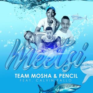 Team Mosha & Pencil - Meetsi (feat. Calvin Fallo), mzansi music, amapiano house, south african afro house music 2018 download mp3