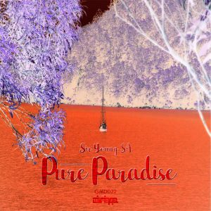 Sir Young SA - Pure Paradise (Original Mix), new south african afro house music, afro house 2018 download mp3
