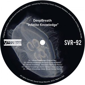 DeepBreath - Infinite Knowledge (Deep House Vandal Remix), deep house 2018 download mp3, free deep house music, south african deep house