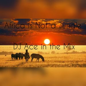 DJ Ace - Africa is Not a Jungle Mix, afro house mix, deep house mix, house mixtapes, dj live mix