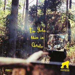 YOLA feat. Toshi - Thando (Original Mix)