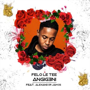 Felo Le Tee - Angigeni (feat. Alexander James)