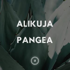 Alikuja - The Scientist Yaaquub