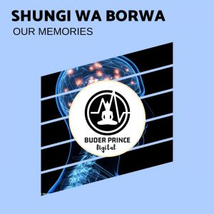 Shungi Wa Borwa - Our Memories (Original Mix)
