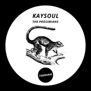 KaySoul - The Prosimians (Dark Art Dub), deep house sounds, new deep house music, deephouse 2019, latest south african deep house music