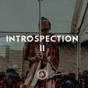 VA - Introspection Part II, house music download, house music album, latest afro house music, afro house 2019 download, afrohouse, mp3 download, best house music, download free music