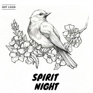VA - Spirit Night