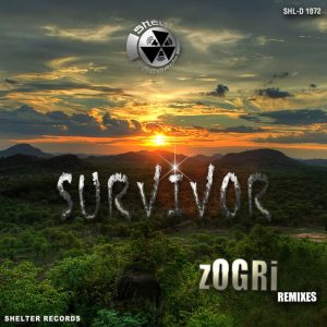 Dj Cassano - SURVIVOR (ZOGRi Afro Remix)