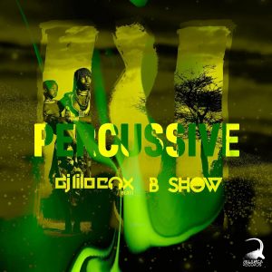DJ Lilocox & B Show - Percussive (Original Mix)