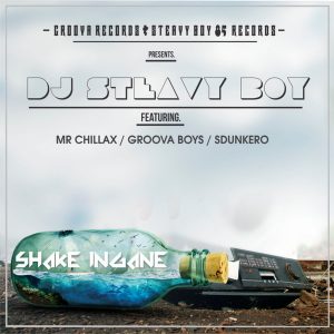 DJ Steavy Boy - Shake Ingane (feat. Mr. Chillax, Groova Boys & Sdunkero)