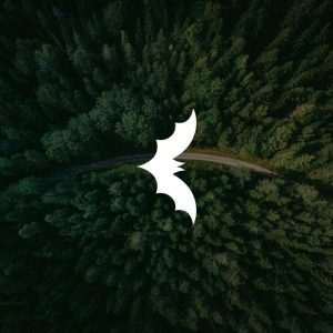 Blessing White - I Wish (Original Mix)