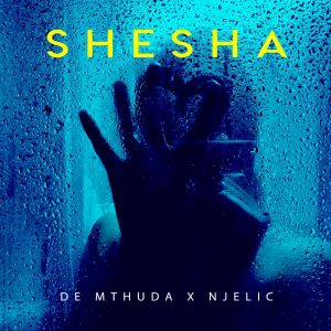 De Mthuda & Njelic - Shesha