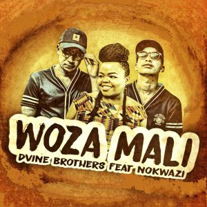 Dvine Brothers Ft. Nokwazi - Woza Mali