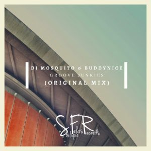 DJ Mosquito & Buddynice - Groove Junkies, new deep house music, deep house 2019