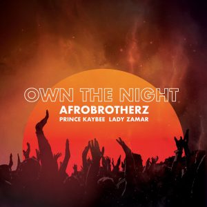 Afro Brotherz - Own The Night (feat. Prince Kaybee & Lady Zamar), new afro house music, afro house 2019, latest sa music, south african afro house songs, house music download, afrohouse mp3, latest afro house music
