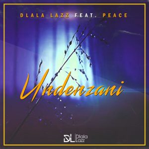 Dlala Lazz - Undenzani (feat. Peace), new sa music, new south african gqom songs, gqom 2019 download mp3, new gqom music, afro house songs, sa afro house music