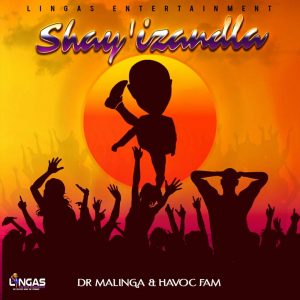 Dr Malinga & Havoc Fam - Shay'izandla, new gqom music, gqom 2019 download, gqom mp3 download, gqom songs, new sa music, za music, south african gqom audio