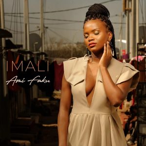 Ami Faku - Ndivulele (feat. Sun-El Musician), new sa music, south african music download, latest afro house music, afro house 2019, afro soul