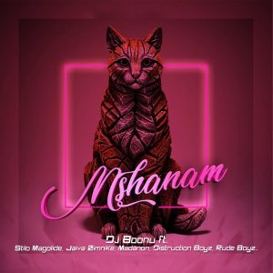 DJ Boonu - Mshanam (feat. Distruction Boyz, Madanon, Rude Boyz, Stilo Magolide & Jaiva Zimnike), new gqom music, gqom 2019, lates gqom songs, south african gqom music, gqom mp3 download