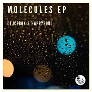 DJ Icebox & Happysoul - Molecules EP