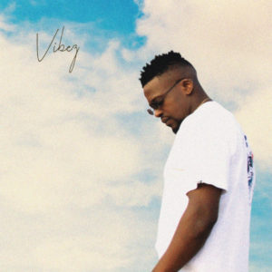 DJ Mshega - Vibez (Album), new afro house music, afro house 2019, house music download, latest sa music, south africa afro house songs, afrohouse songs mp3 download, za music