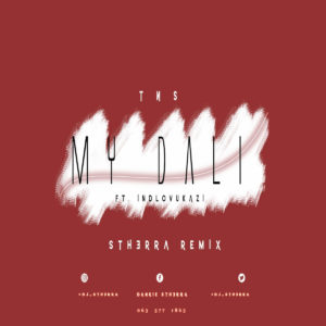 TNS feat. Indlovukazi - My Dali (Dj Stherra Tech Remix)