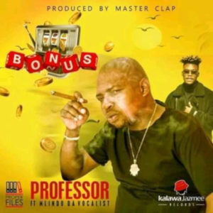 Professor - Bonus (feat. Mlindo The Vocalist)