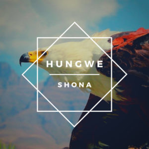Shona (SA) feat. Zimkitha - Ndiyekele